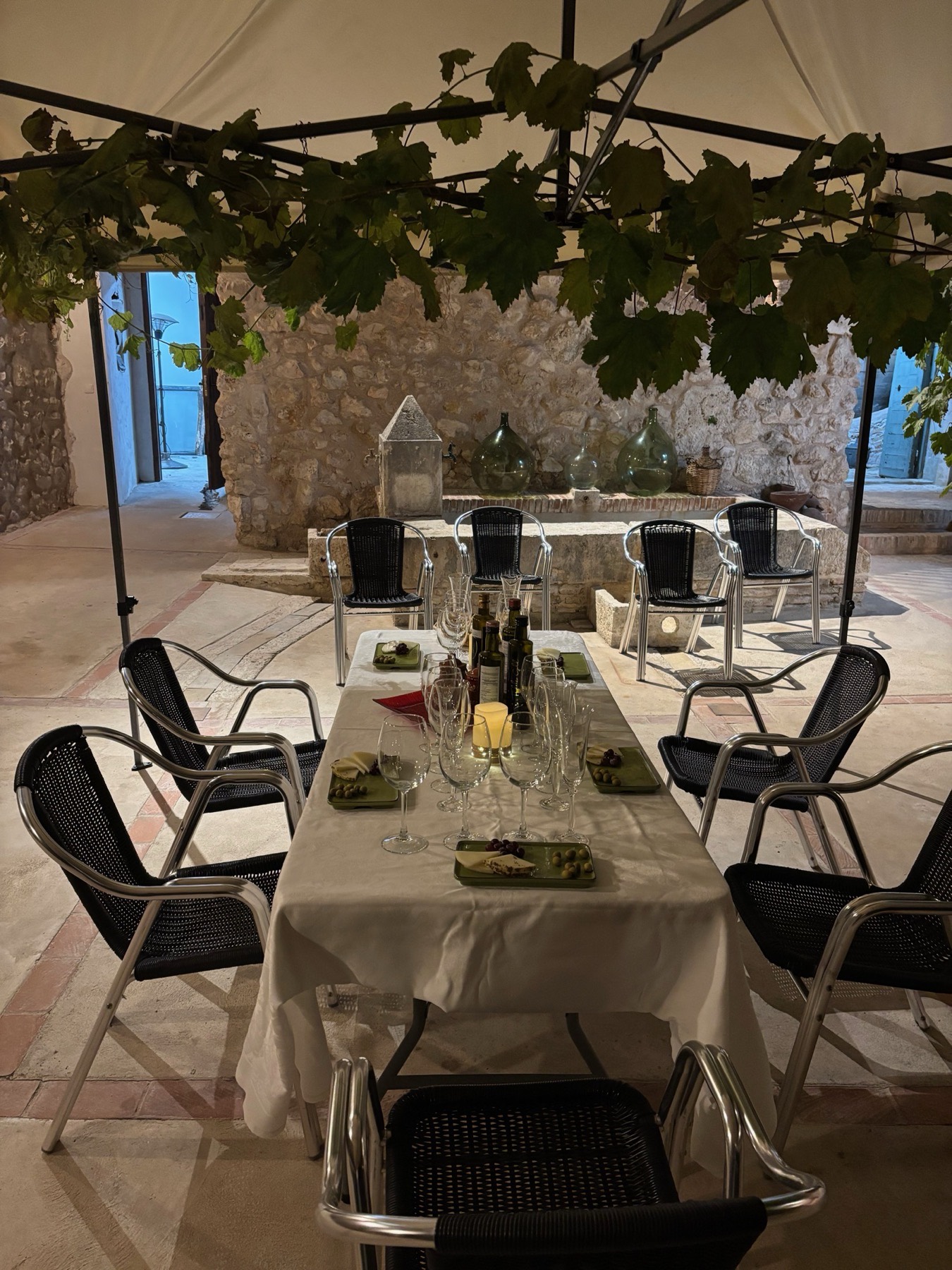 Patio con parra de la casona en Pastrana